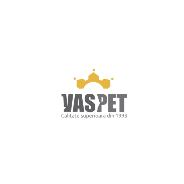 creare-logo-vaspet
