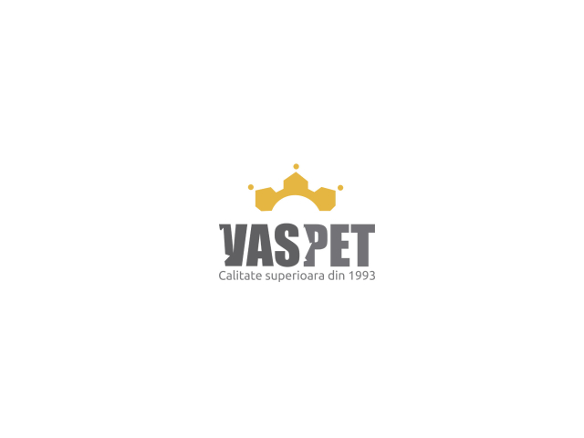 creare-logo-vaspet
